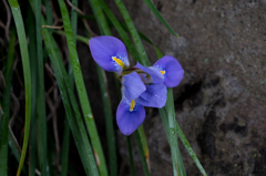 P1040409