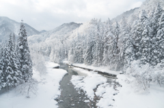 雪原