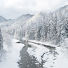 雪原