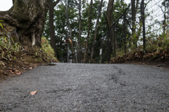 散歩道
