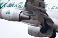 機体 拡大