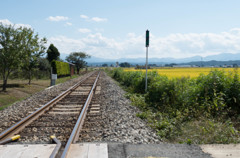 L1001895