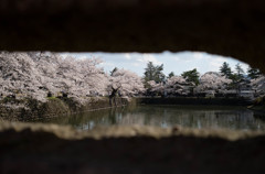 覗き見