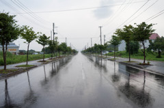 雨