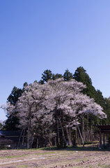 佐々岡の大明神