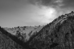 20150308-L1003371