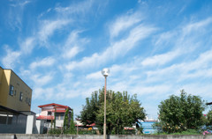 L1001361