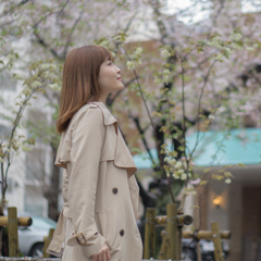 Sakura