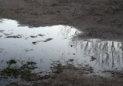 雨上がり