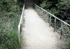 どこかに続く道