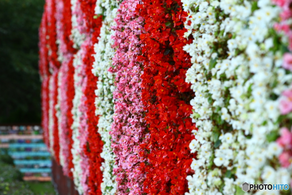 花壁