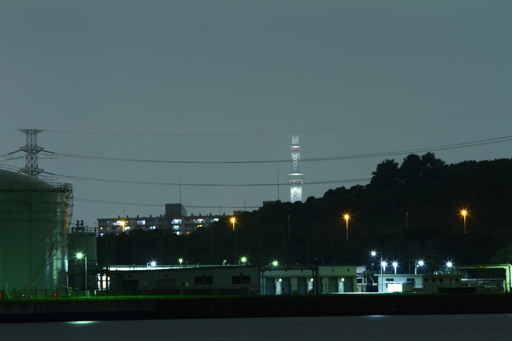 夜スカイツリー