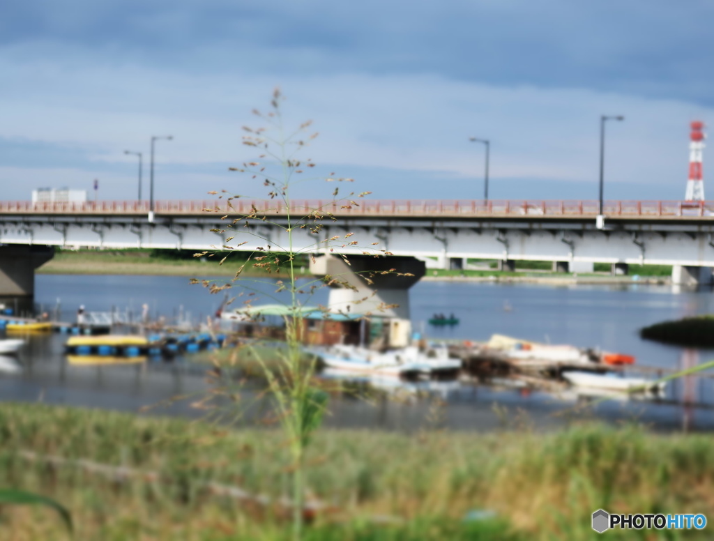 行徳橋