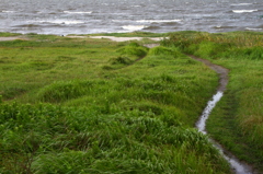海への小路