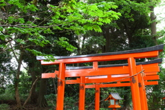 中山法華経寺３
