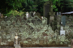 雨上がりの中山法華経寺３