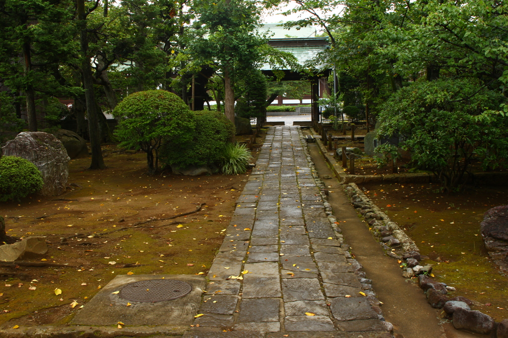 雨上がりの中山法華経寺４
