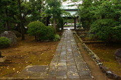 雨上がりの中山法華経寺４