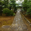 雨上がりの中山法華経寺４
