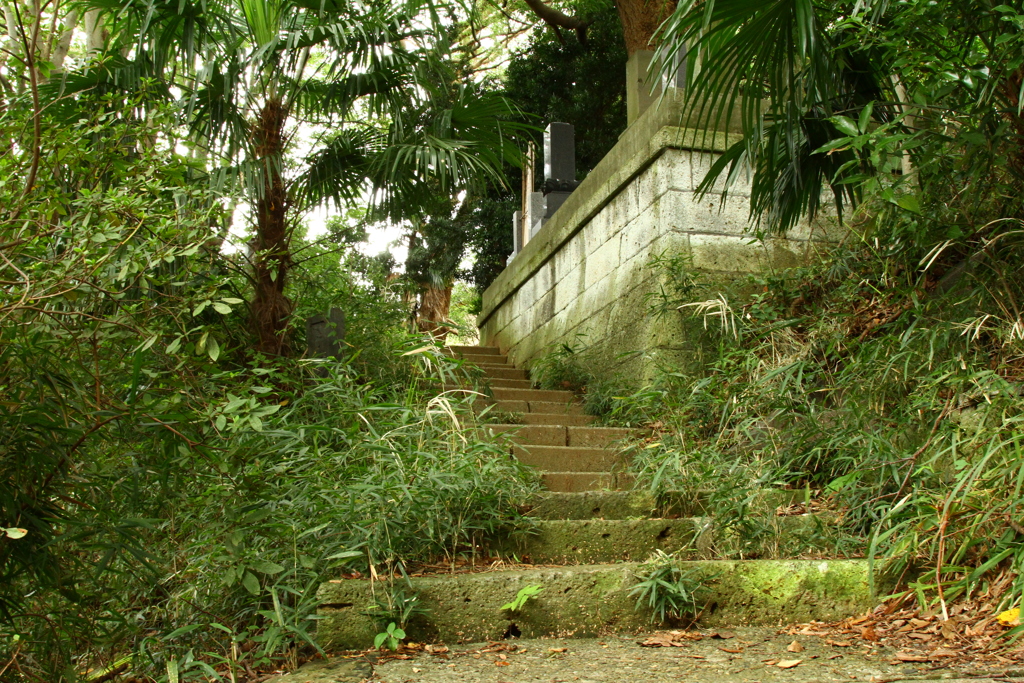 中山法華経寺６
