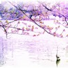 桜と鳥と池と…