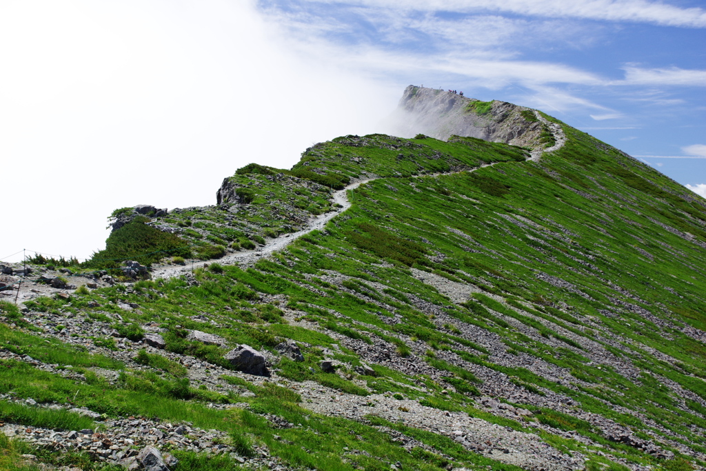 山頂へ