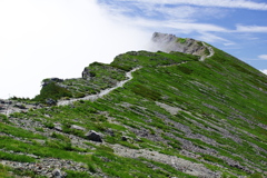 山頂へ