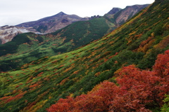 紅葉と十勝岳