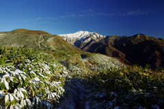 白い峰