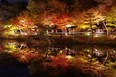 逆さ紅葉02