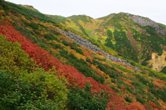 紅葉と富良野岳