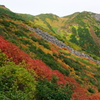 紅葉と富良野岳