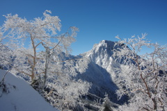 樹氷と阿弥陀岳