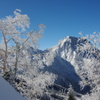 樹氷と阿弥陀岳