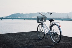 愛車と海