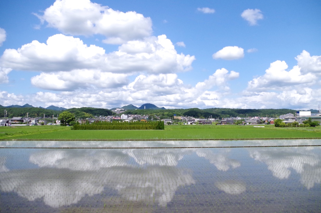 田園都市