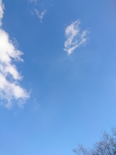 ある日の青空(･ω･)。_DSC_0054