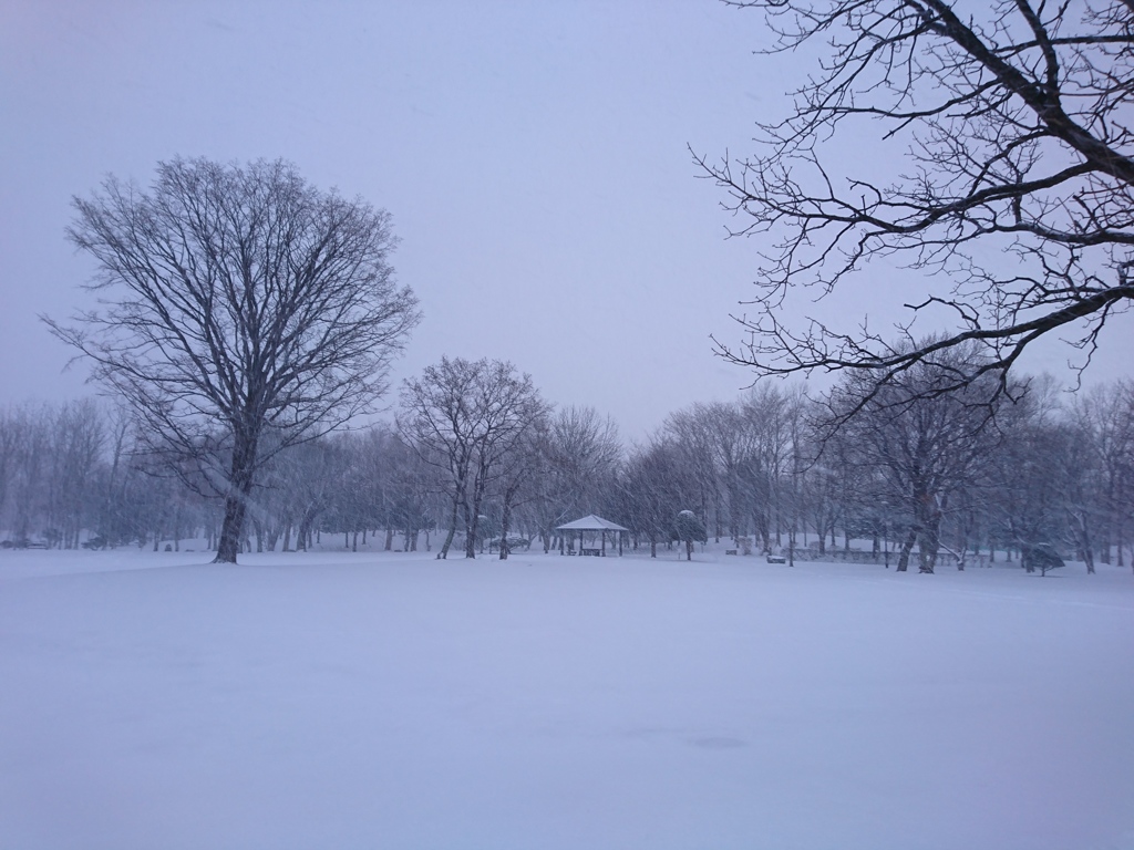 降雪…してた…(;･ω･)