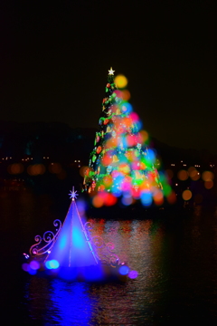 Color of Christmas