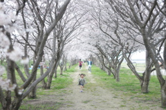 まてまて～～＾＾