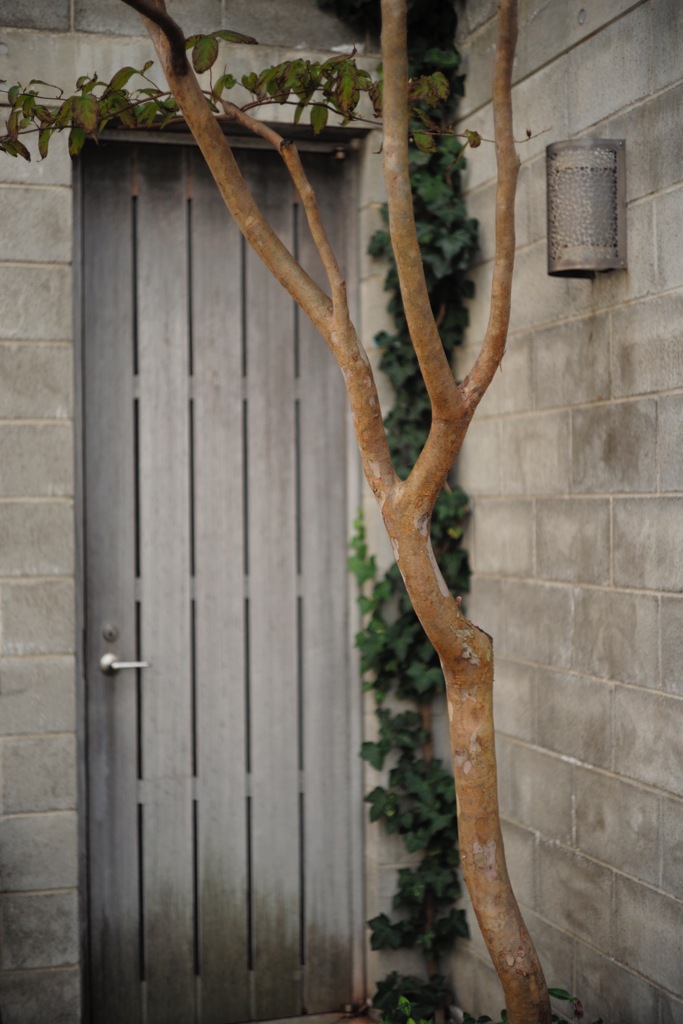 door.