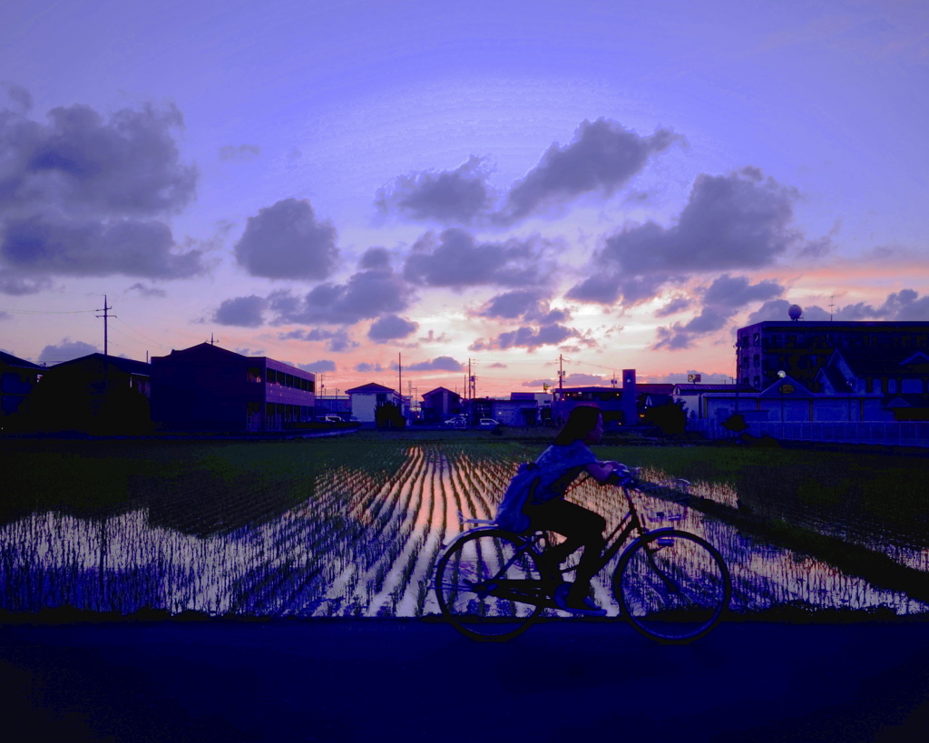 帰り道②
