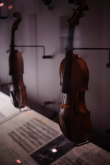 violin.
