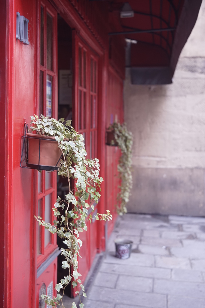Red & Green