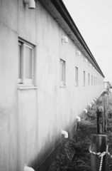追憶 (The Way We Were)