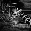 DSC01290