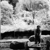 DSC01291