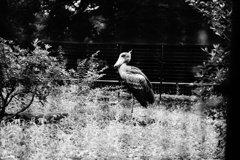 DSC01287