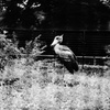 DSC01287