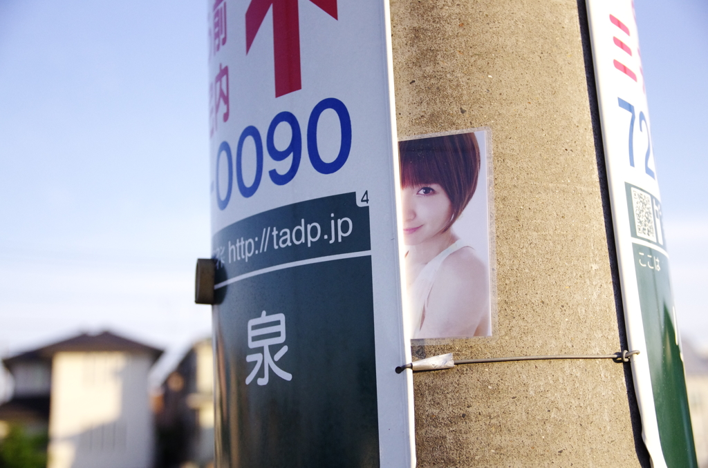 IMGP9849